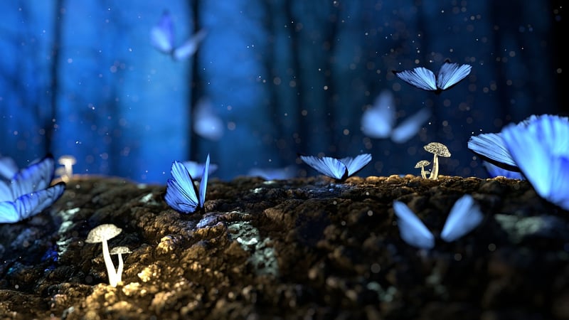 Enchanted Feasts